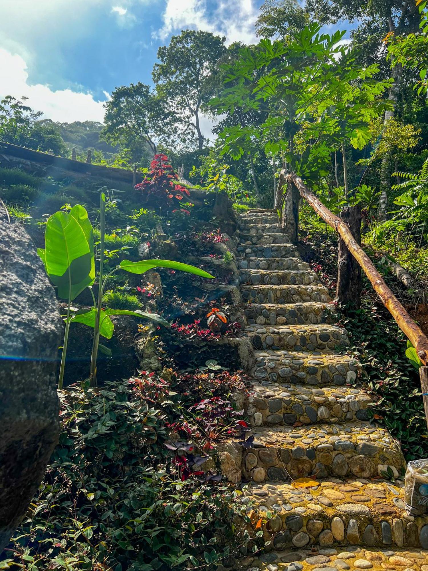 Hostal Paraiso Tayrona Kogui ลอสนารานฆอส ภายนอก รูปภาพ
